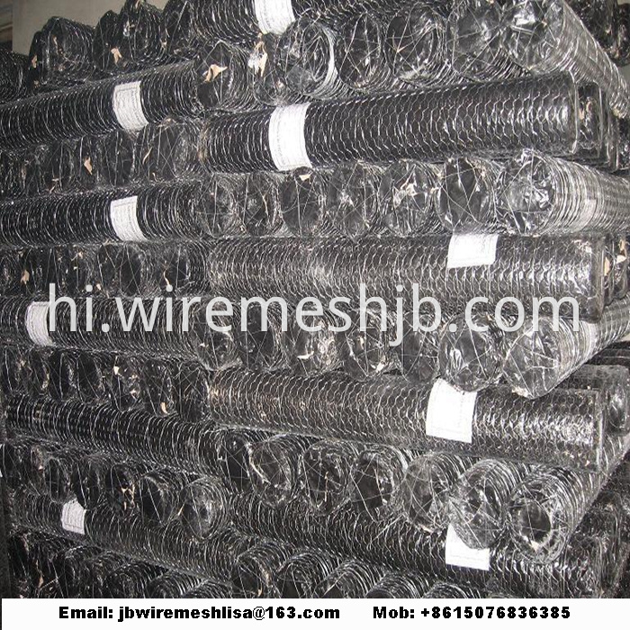 Galvanized Hexagonal Wire Netting